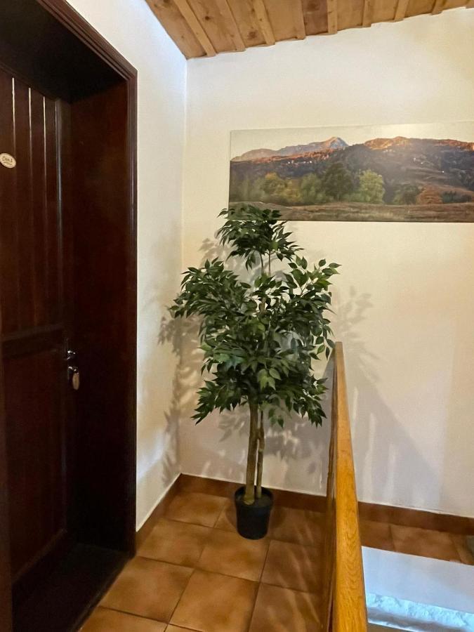 Vila Sofia Predeal Dış mekan fotoğraf